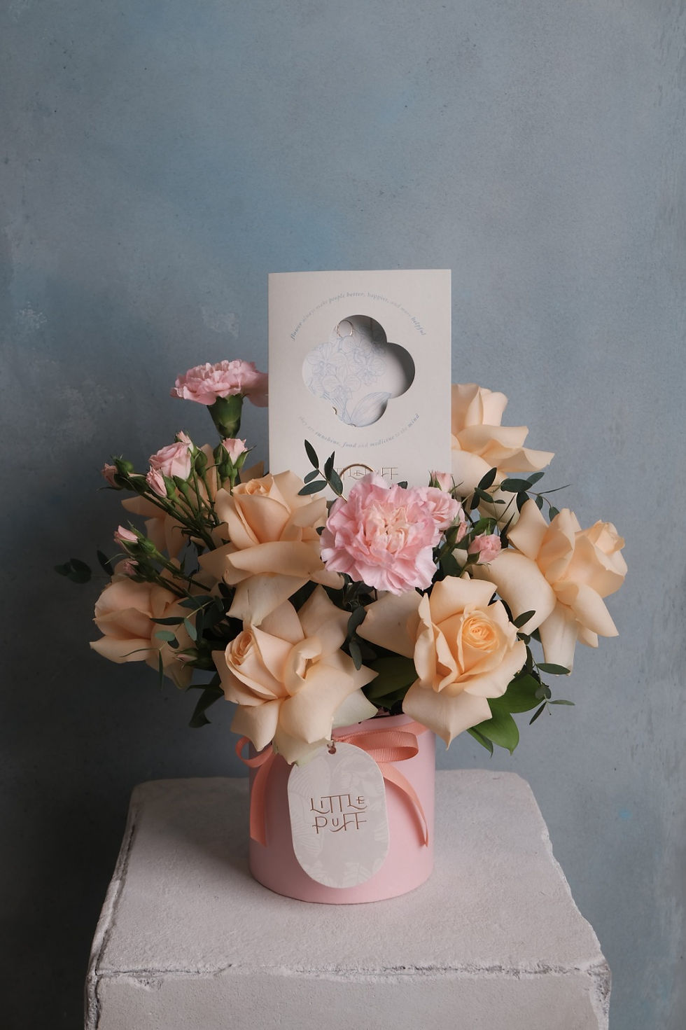 Thumbnail: The Minis12 - Mixpuff