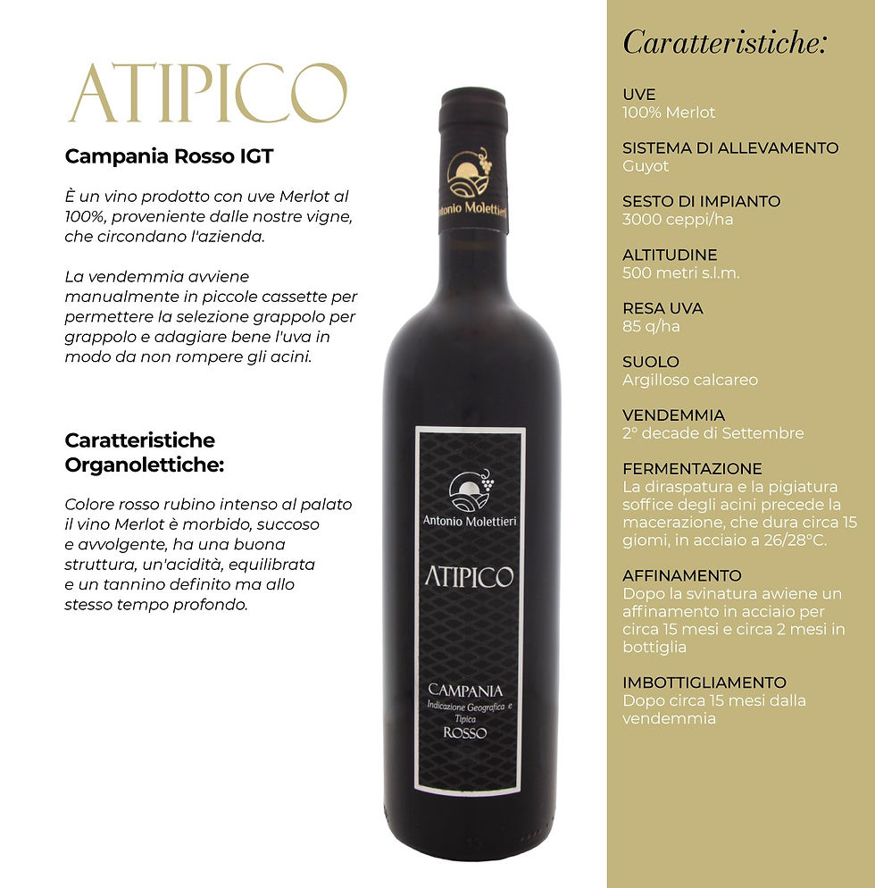 Atipico - Datasheet.jpg