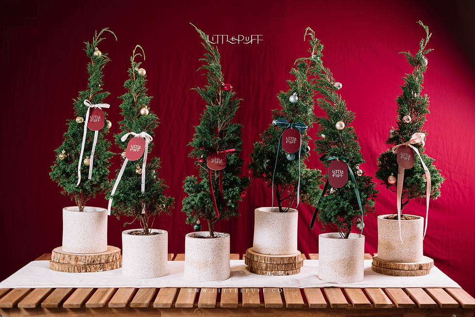 Christmas Hamper Little Puff