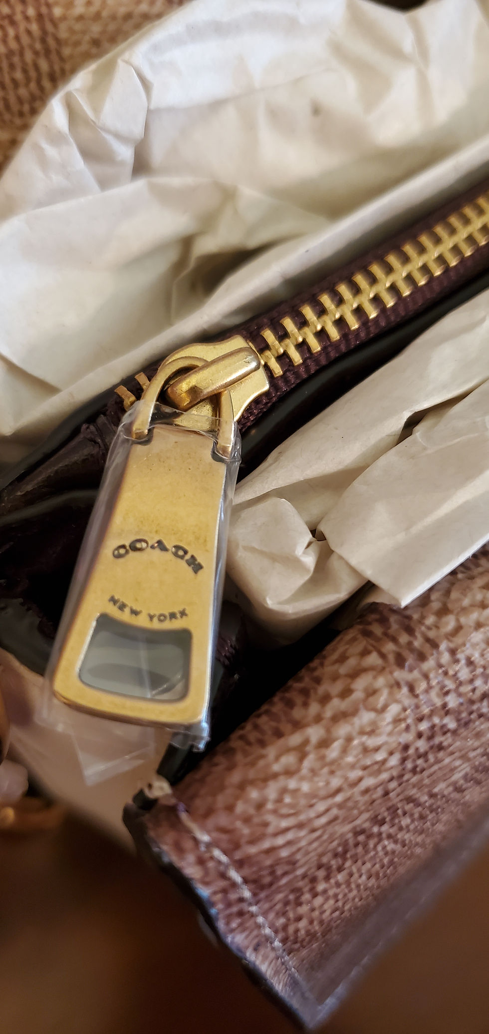 Thumbnail: Coach - Dreamer