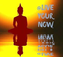 Live your now
