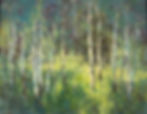 DAPPLED LIGHT