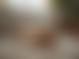 Exploring Dog Boarding Options in the UK