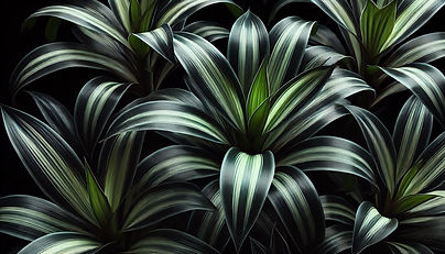 Designer - 2025-01-04T170507.899.jpeg