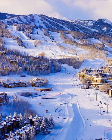 La Ferme des Chatelains - Ski.png