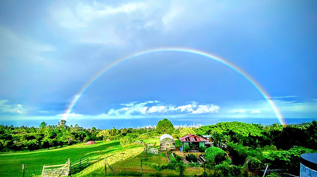 Rainbow of Tehana Ohana.jpeg