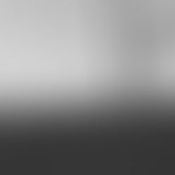 What did I ever truly know of the United States?