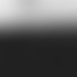 Golden dust: wandering in Central Asia