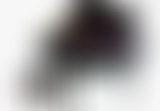 This Evening at Papaspiros Restaurant 728 Lake in Oak Park Enjoy Live Entertainment from Desi and Gr