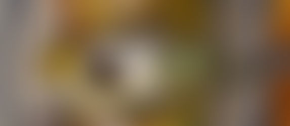 This Weekend Enjoy a Specialty Three Course Menu at Papaspiros Restaurant 728 Lake Street $65 