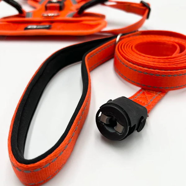 Features a reinforced leash