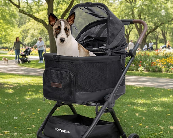 evenflo revolve 360 rear facing Evenflo Revolve360 Slim 2-in-1 Rotating Car Seat with Green & Gentle Fabric