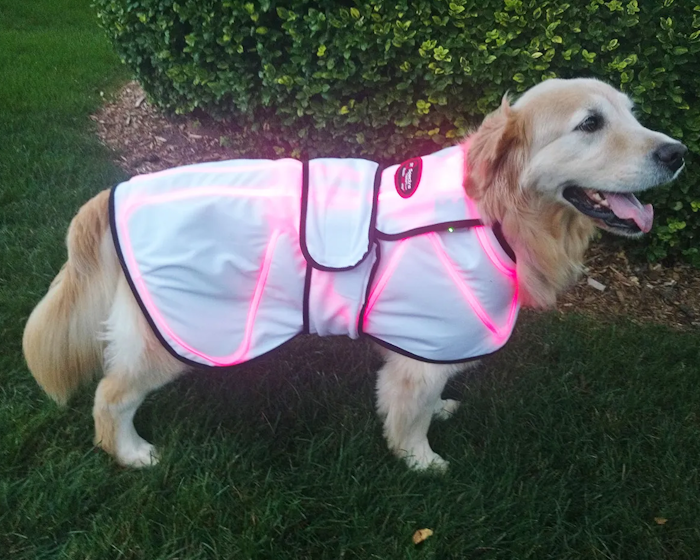 Spectra Therapy LASERwrap Dog Coat System