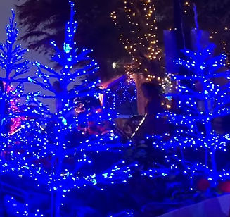 Paeroa Historical Maritime Park Christmas Lights nz.jpg