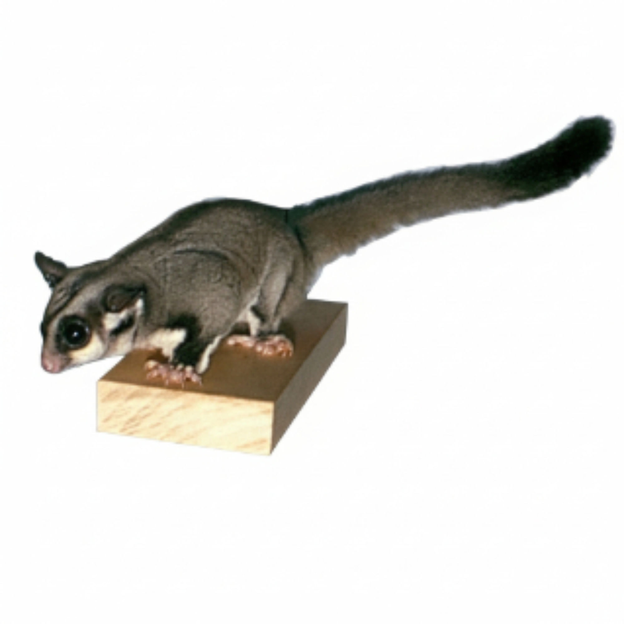 2-piece Leaping Ledges Set