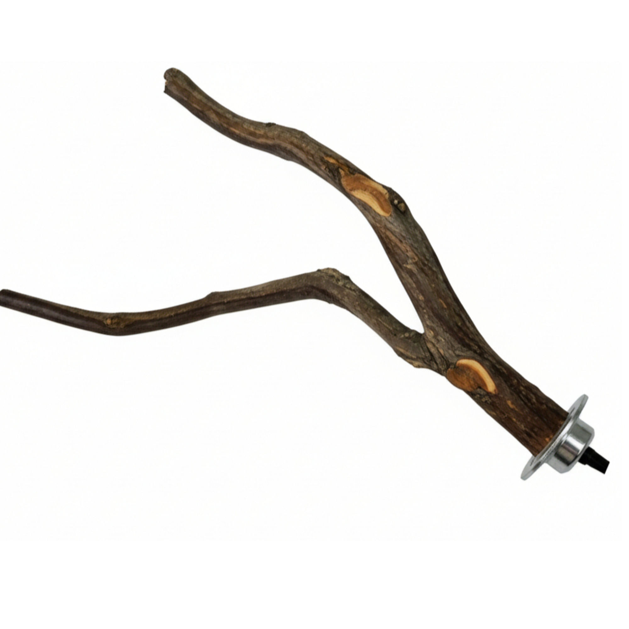 Manzanita Wood Branch Perch