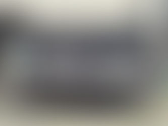 2016 Triton 179 TRX MERC,115ELPT EFI,COLOR 4(GUNM/SILV MST)