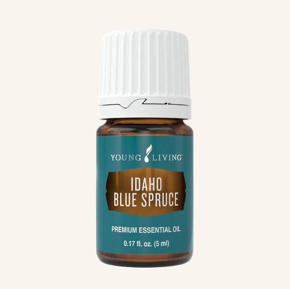 How To Use Idaho Blue Spruce For Testosterone
