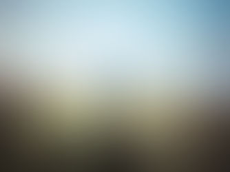 How can being plastic free make a difference?  — Can small changes really change anything? 