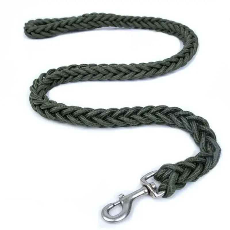 Thumbnail: Nylon Dog Leash