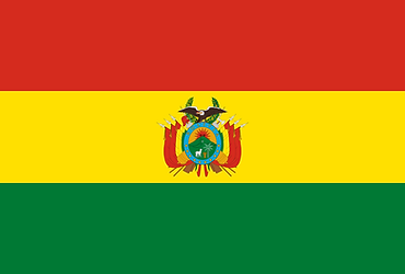 Flag_of_Bolivia_state.svg_.png