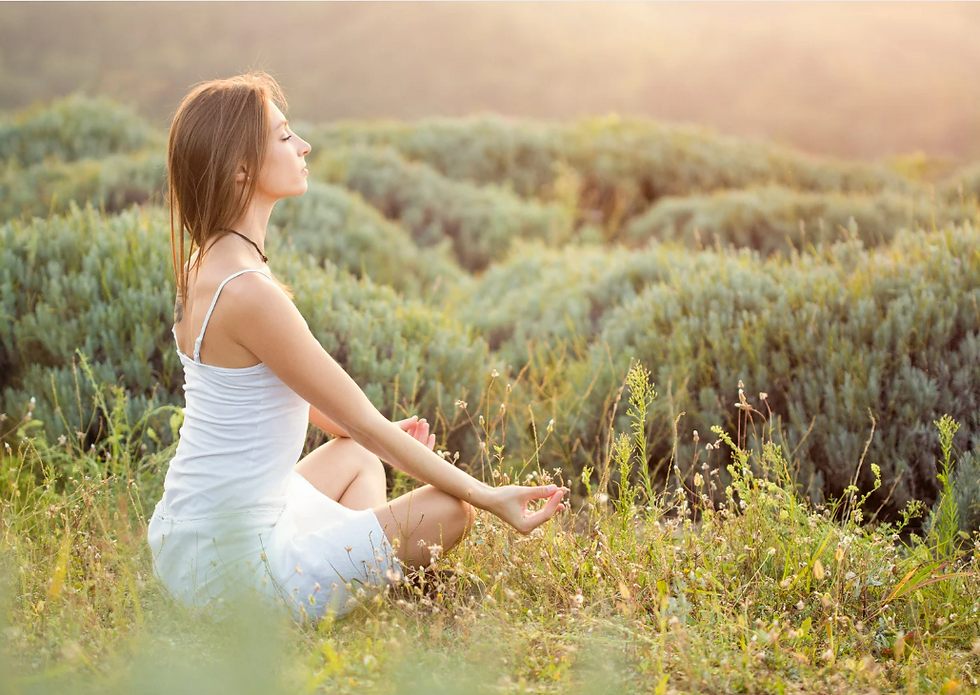 A woman sits in peaceful meditation in a sunlit field, surrounded by nature. This serene moment reflects the power of mindfulness in teaching—helping educators find balance, clarity, and renewed energy to create their dream teaching life.