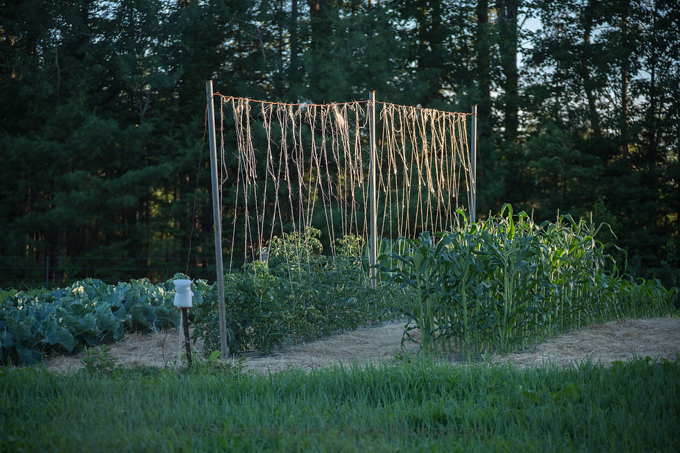 VISIT THE FARM Old Crow Ranch