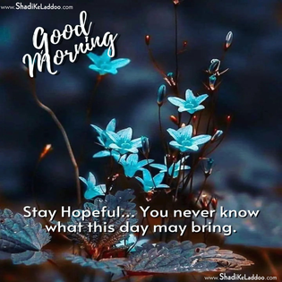 ❝Stay hopeful.. You never know what this day may bring..!!❞