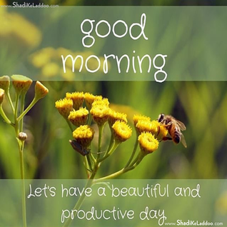❝Let's have a beautiful and productive day..!!❞❝चलो एक सुंदर और उत्पादक दिन हो..!!❞