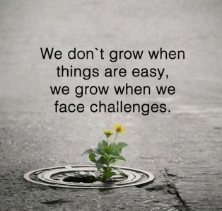 We don't grow when things are easy we grow when we face challenges