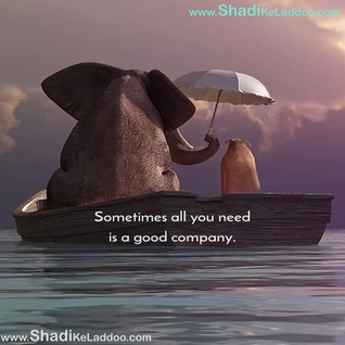 Life Quotes | ❝Sometimes all you need is a good company❞