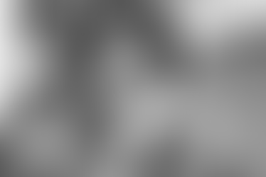 Kurt Vonnegut Quotes