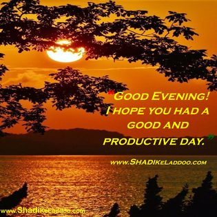 Good Evening Quotes | ❝Good Evening!  I hope you had a good and productive day.❞