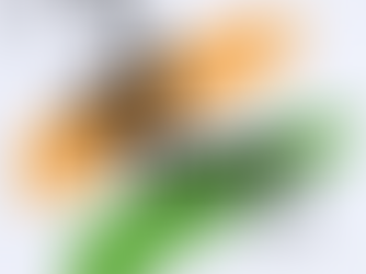Vande Mataram Lyrics