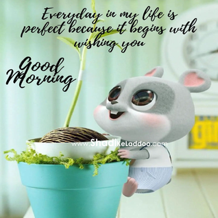 Everyday in my Life is perfect Because it beging with wishing you.