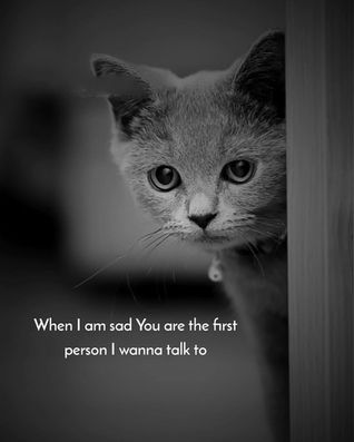 You are the First Person i wanna walk to you