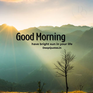 Have bright sun in your life