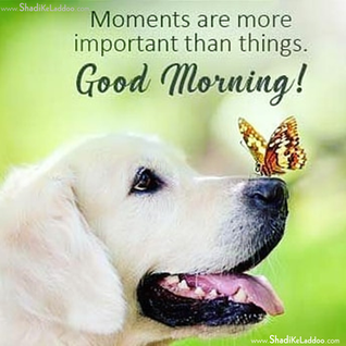 ❝Moments are more important than things..!!❞❝क्षण बातों से ज्यादा महत्वपूर्ण हैं..!!❞
