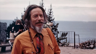 Alan Watts Quotes