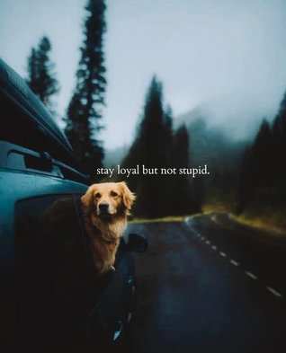 Stay Loyal but not Stupid
