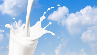 World Milk Day Quotes