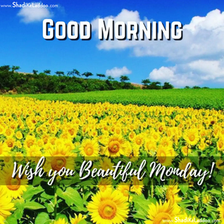 ❝Wish you beautiful Monday..!!❞❝आपको सुंदर सोमवार की शुभकामनाएं..!!❞