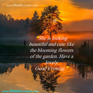 Good Evening Quotes | ❝She is looking beautiful and cute like the blooming flowers of the garden.