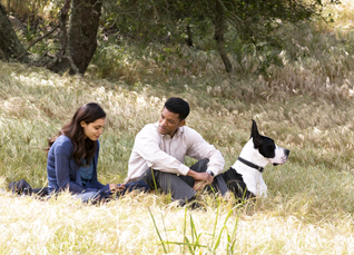 Seven Pounds Quotes