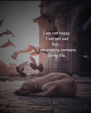 I am Not Happy