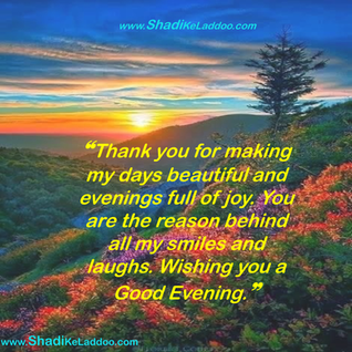 Good Evening Quotes | ❝Thank you for making my days beautiful and evenings full of joy. You are the