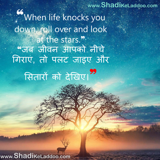 Life Quotes | ❝When life knocks you down, roll over and look at the stars.❞