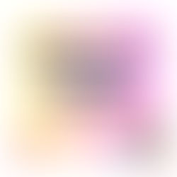 Experience is the teacher of all things.