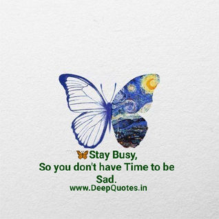 🦋°•Stay busy, so you don't have time to be Sad.•
°Butterfly🦋°