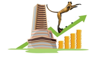 How does money sink in the share market?? A Real Story